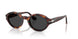 24/48 - Tortoise - Polar Dark Grey