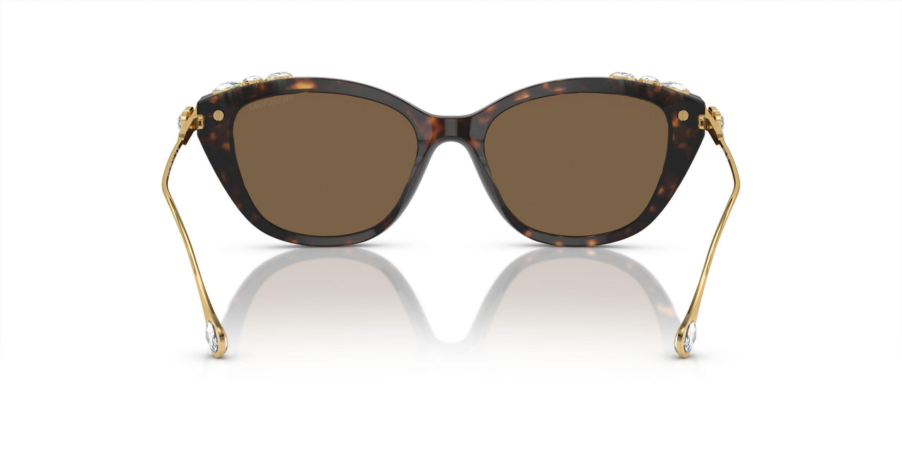 100273 - Tortoise - Dark Brown