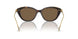 100273 - Tortoise - Dark Brown