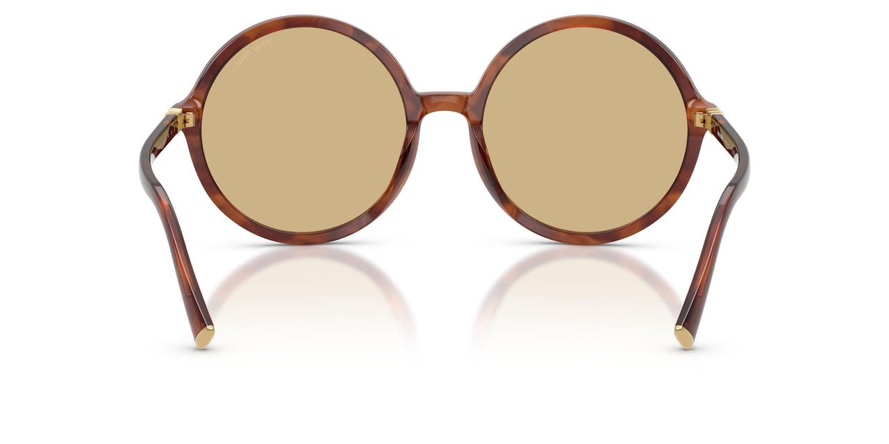 26E10R - Brown - Yellow