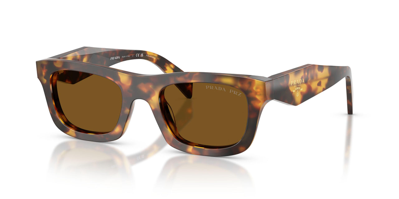 14L10U - Tortoise - Dark Brown Polar
