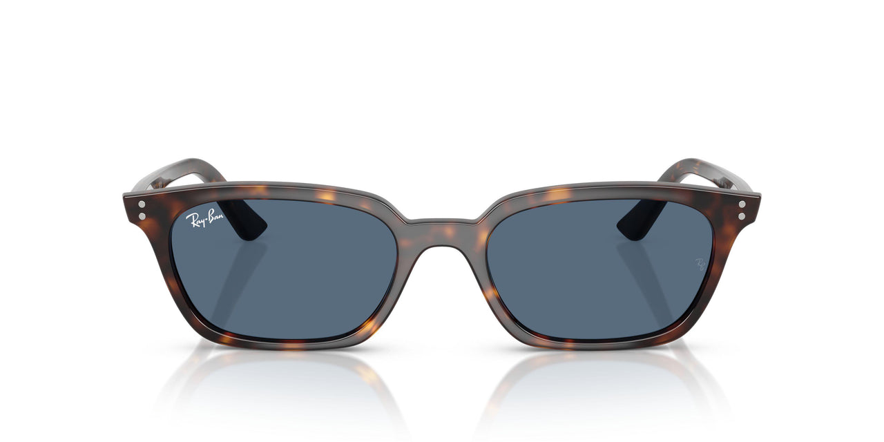 135980 - Tortoise - Dark Blue