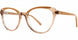 Adrienne Vittadini Petite 644 Eyeglasses