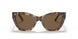 502573 - Havana - Brown