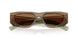 29E90F - Brown - Light Brown