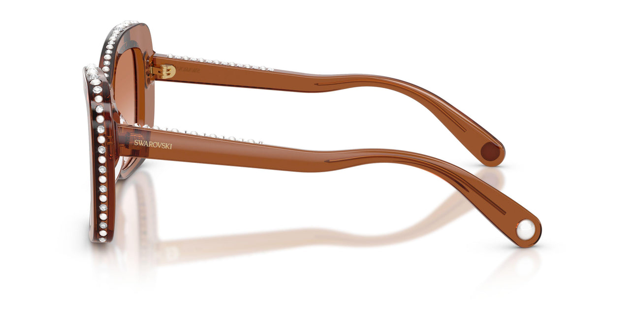 109573 - Brown - Gradient Brown