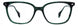 STATE Optical Co. HUMBOLDT Eyeglasses