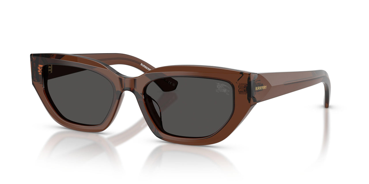 411687 - Brown - Dark Grey