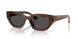 411687 - Brown - Dark Grey