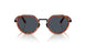 6404R5 - Brown - Blue