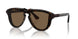300273 - Brown - Brown
