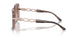 325113 - Pink - Brown Pink Gradient