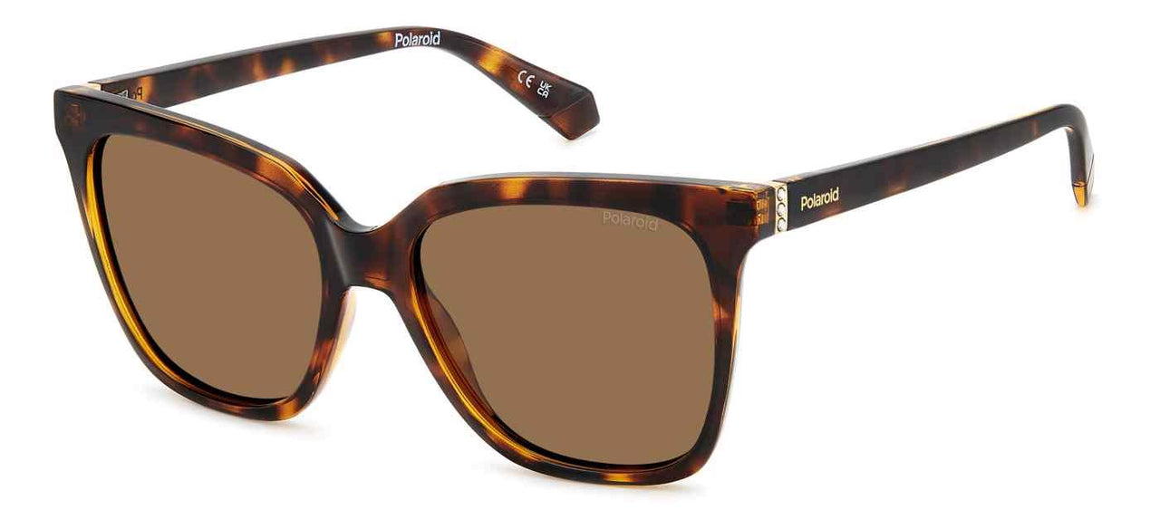 0086-SP - HVN - Bronze Pz