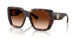 300274 - Brown - Brown Gradient