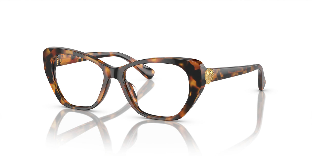 5119 - Tortoise