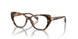 5119 - Tortoise