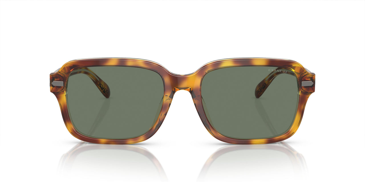 57563H - Brown - Green Solid