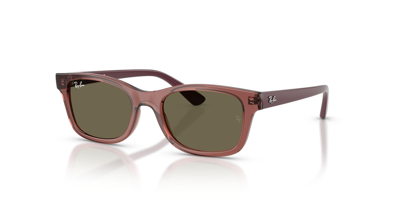 7197/3 - Violet - Brown