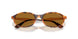 320083 - Tortoise - Bronze Polar