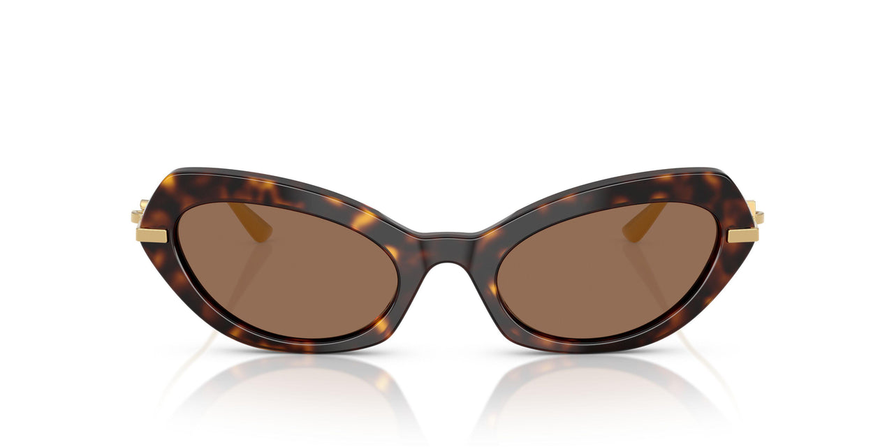 502/73 - Tortoise - Dark Brown