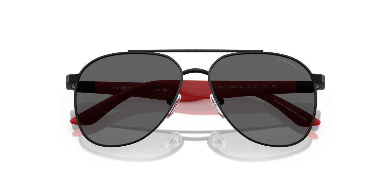 3001T3 - Black - Grey Polar