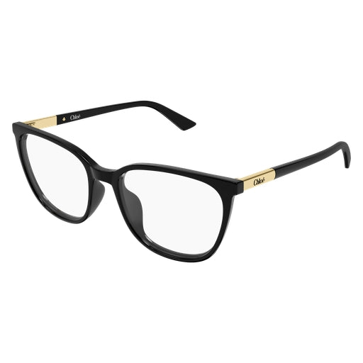 006 - Black - Transparent