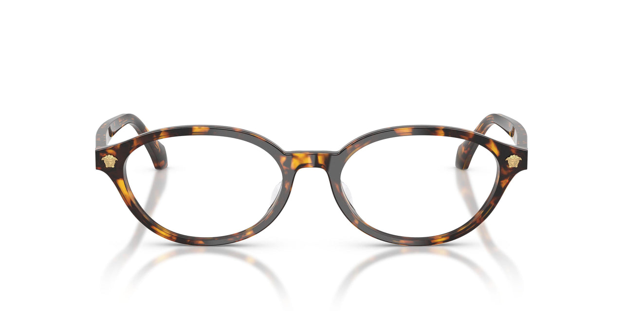 5514 - Tortoise