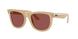 Ray-Ban Wayfarer Reverse R0502S Sunglasses