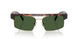 300671 - Tortoise - Green