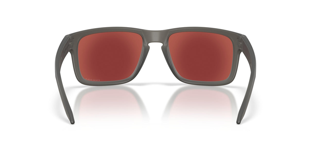 924486 - Grey - Prizm Snow Black Iridium