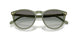 318711 - Green - Gradient Grey