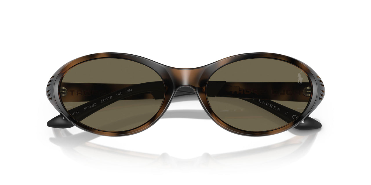 5003/3 - Tortoise - Brown