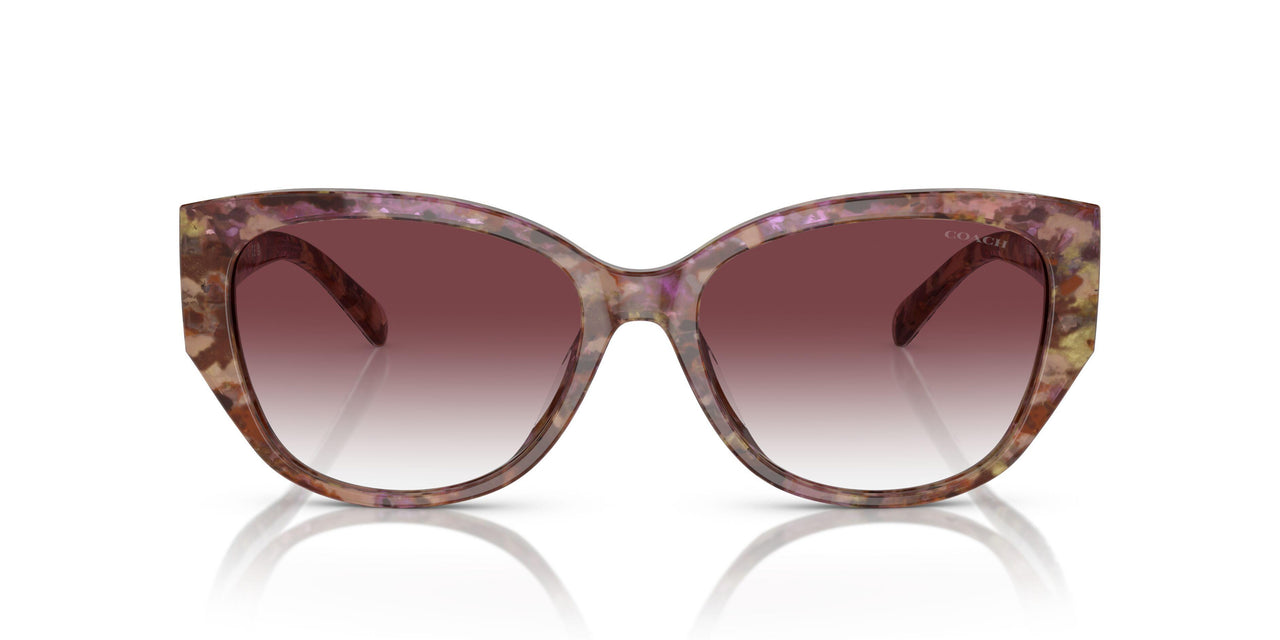 57398H - Tortoise - Purple Clear Gradient