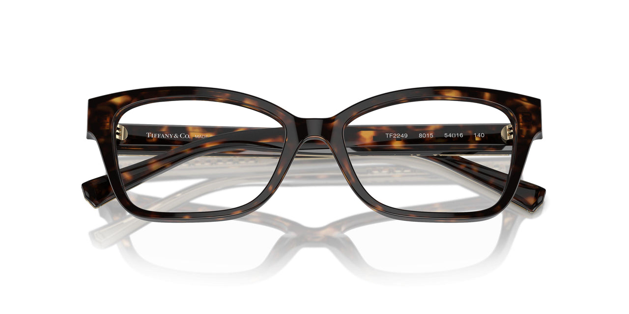 8015 - Tortoise