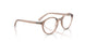 7549 - Brown - Clear