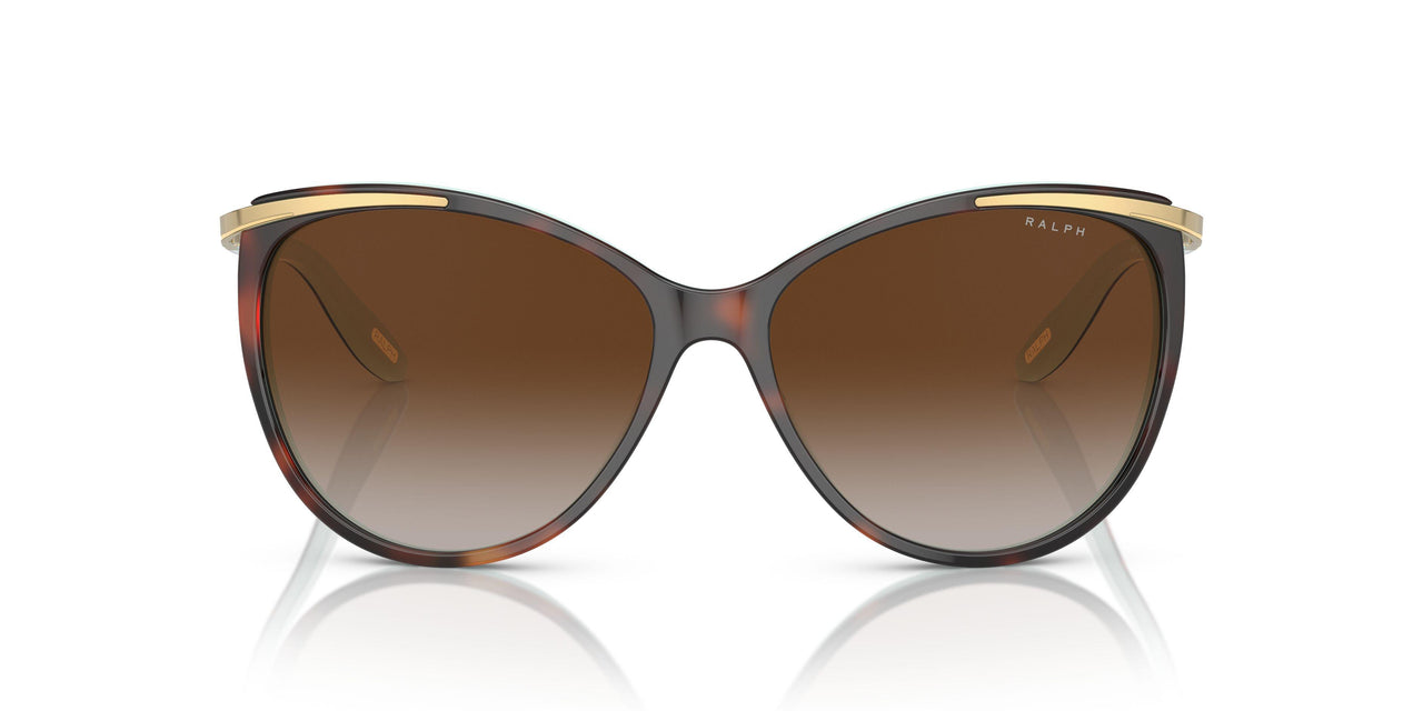 601/3B - Brown - Gradient Brown