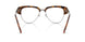 2050 - Brown