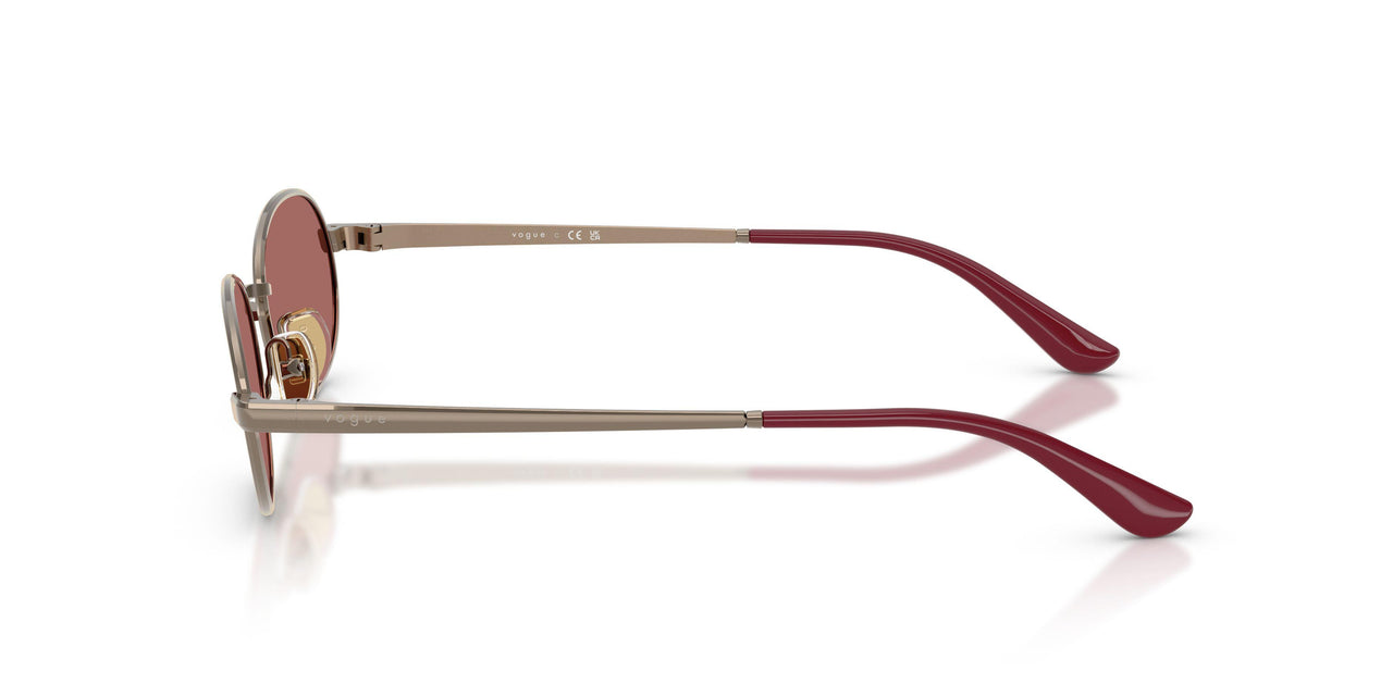 513869 - Brown - Dark Violet