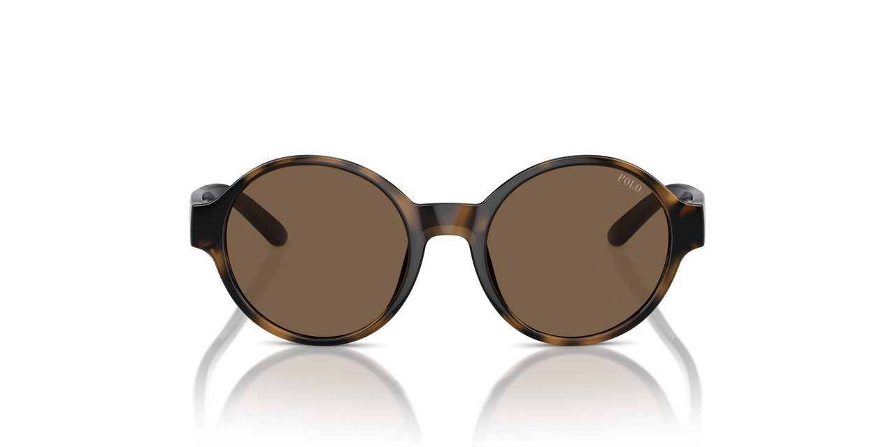 500373 - Brown - Brown