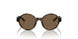 500373 - Brown - Brown