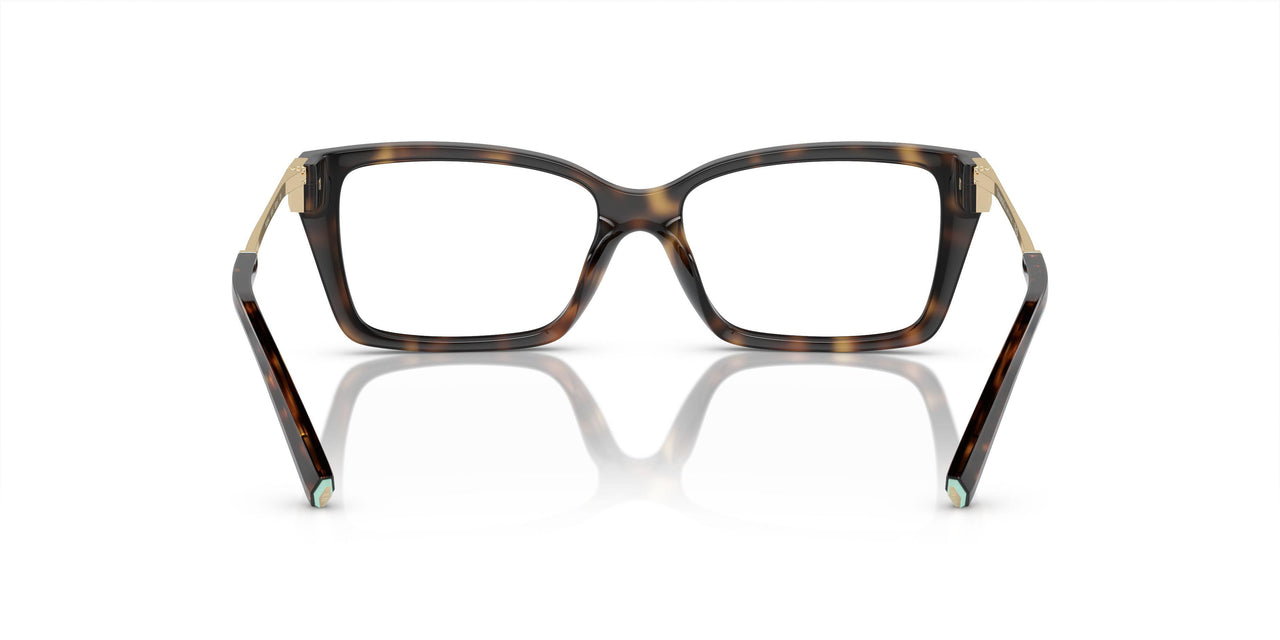 8015 - Tortoise