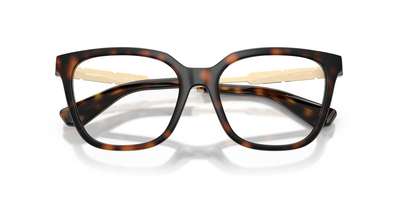 3002 - Brown