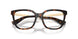 3002 - Brown