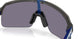 946329 - Grey - Prizm Grey