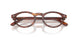 2144 - Brown - Demo Bio