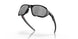 901906 - Black - Prizm Black Polarized