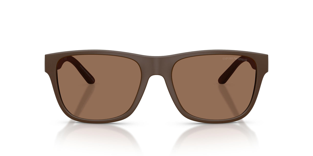 624373 - Brown - Dark Brown