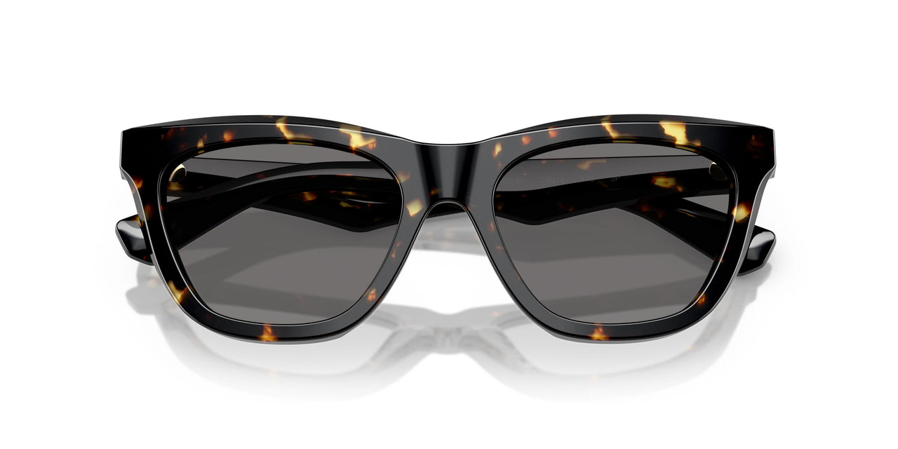 410681 - Tortoise - Dark Grey Polar