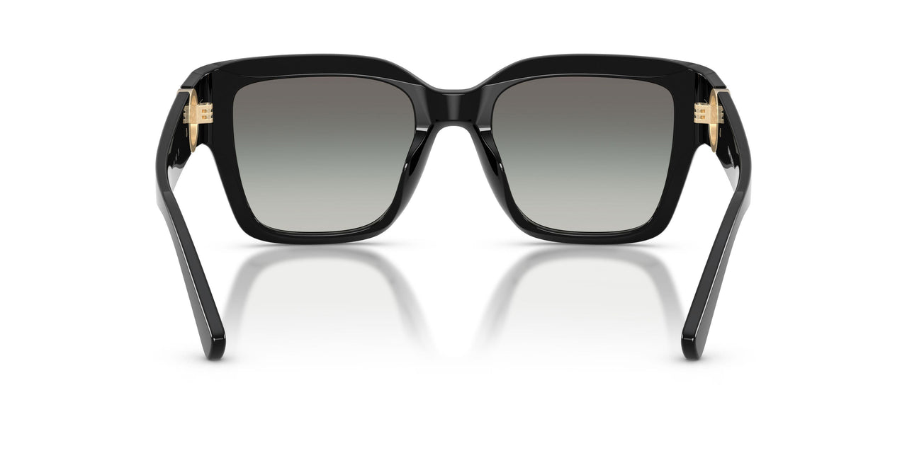 170911 - Black - Grey Gradient