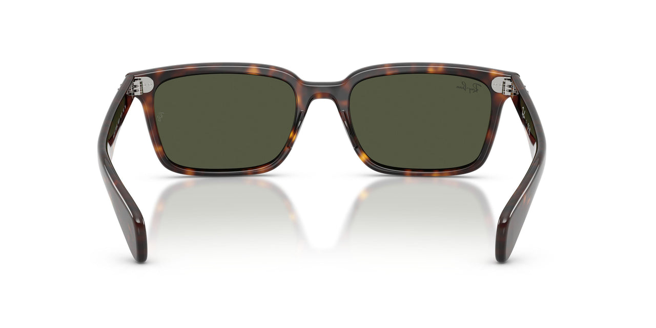 902/31 - Tortoise - Green
